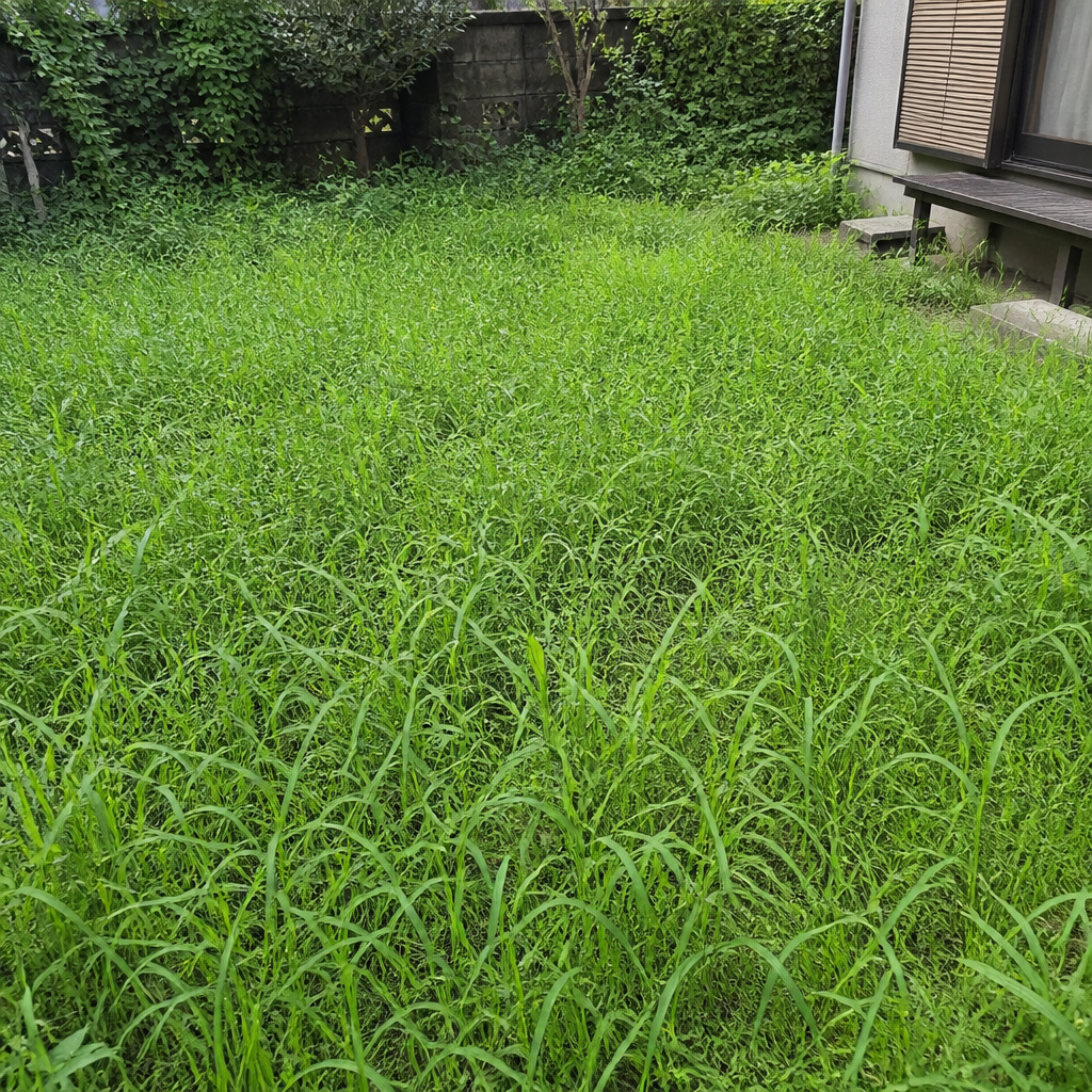 佐賀県で草刈り業者をお探しなら！失敗しない業者選びの完全ガイド